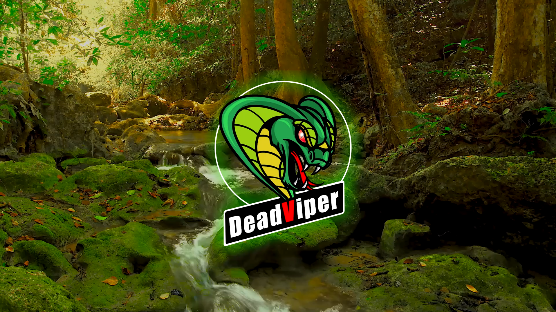 Twitch Offline Banner